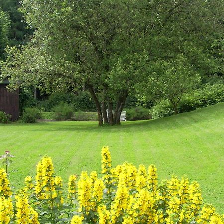 Farm Stay Heidehof Hellenthal Exterior foto