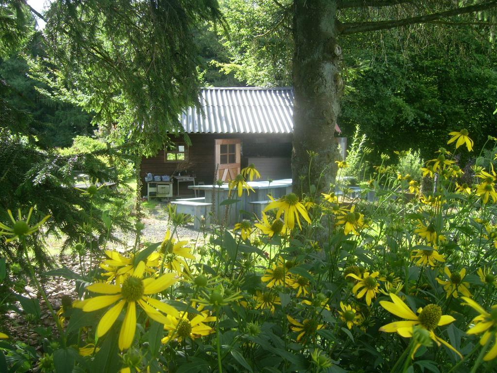 Heidehof Hellenthal Villa Exterior foto