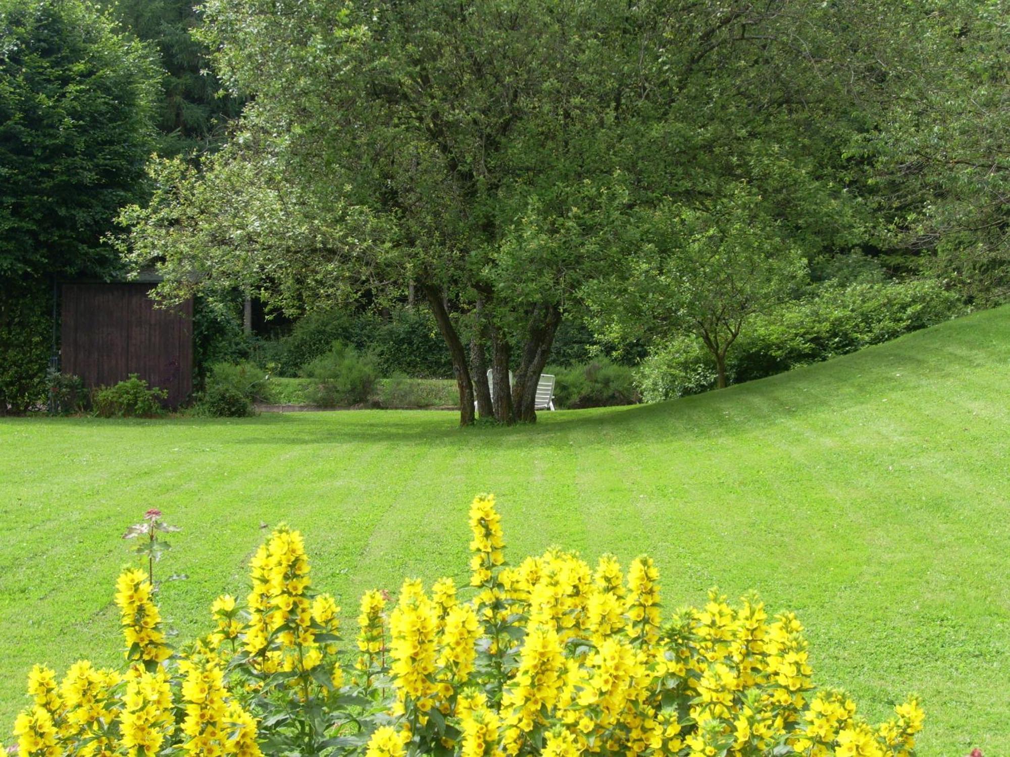 Heidehof Hellenthal Villa Exterior foto